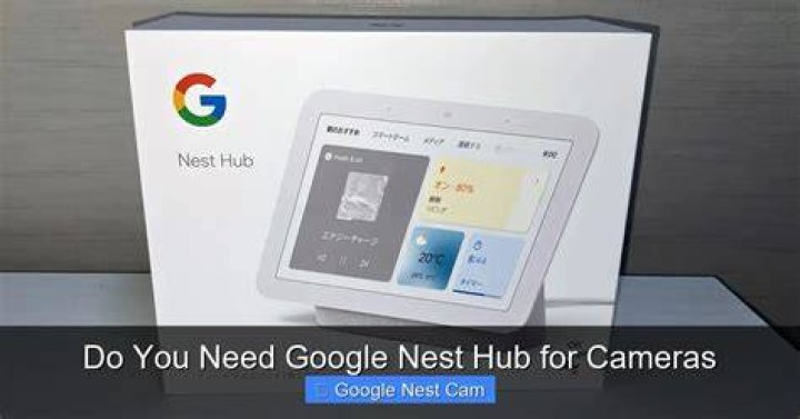 Do I need a Google Nest hub?
