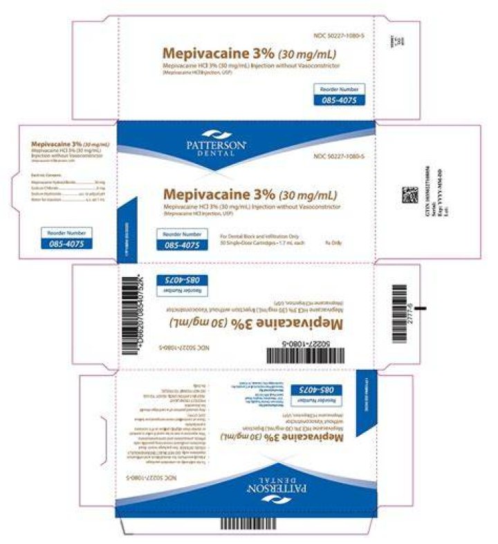 Does mepivacaine contain epinephrine? | ContextResponse.com