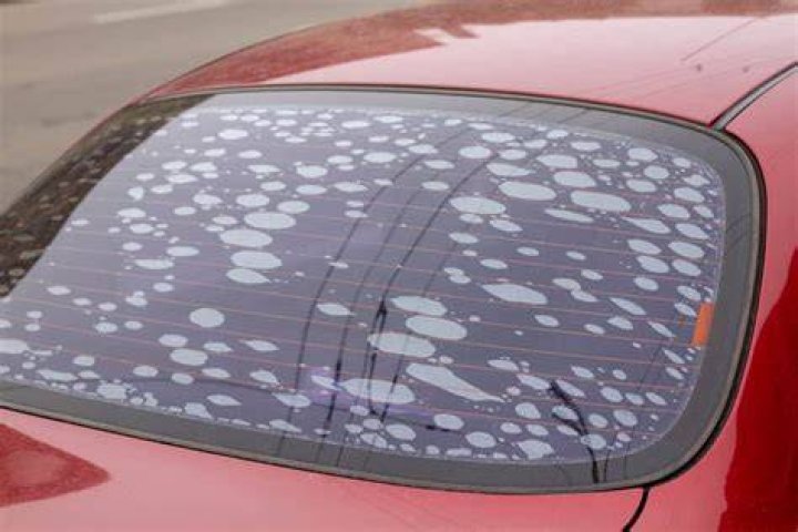 Does tint have bubbles at first?