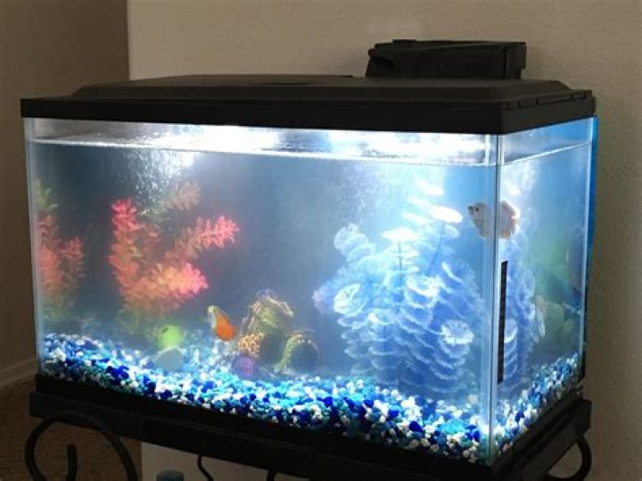 How can I cool my aquarium water?