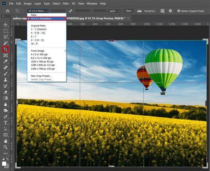 How do I crop an image to a specific size in Photoshop cs5?