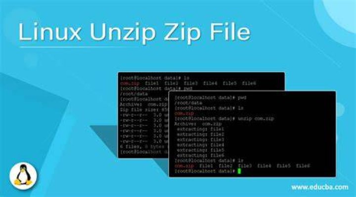 How do I install a zip file on Linux?