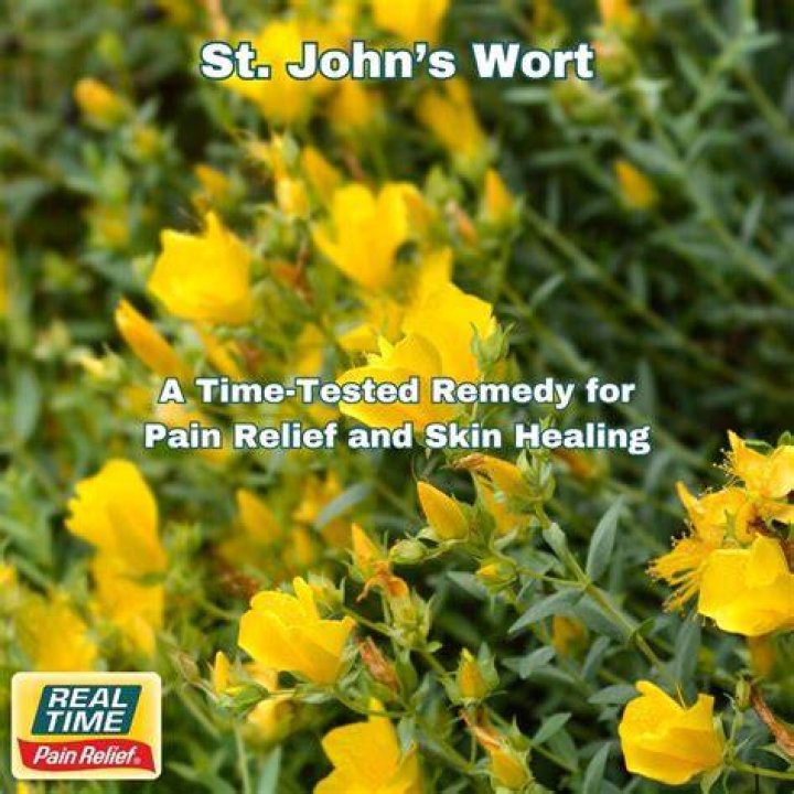 How do I know if I have St John's wort?