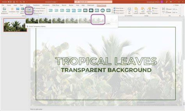 How do I make the background transparent in PowerPoint 2016?