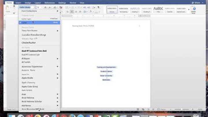 How do you set up an APA paper?