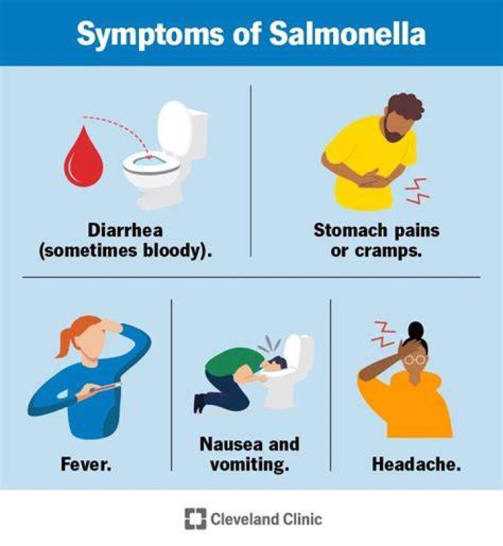 How does salmonella Make You Sick?