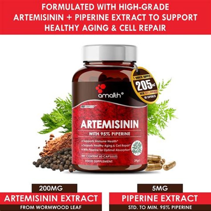 Is Artemisinin safe to take?