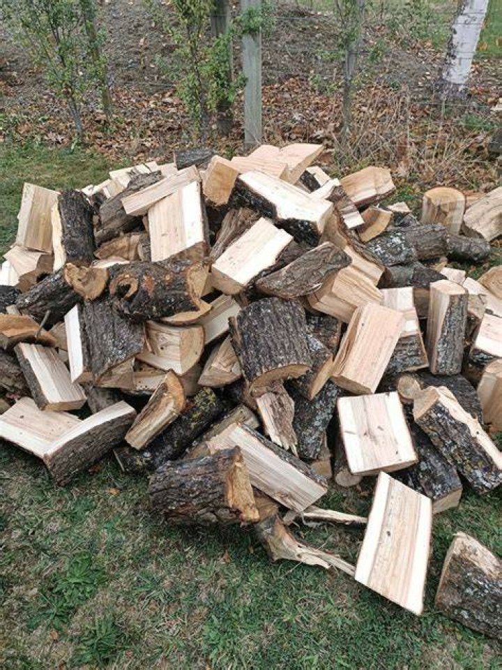 Is Willow good for firewood?