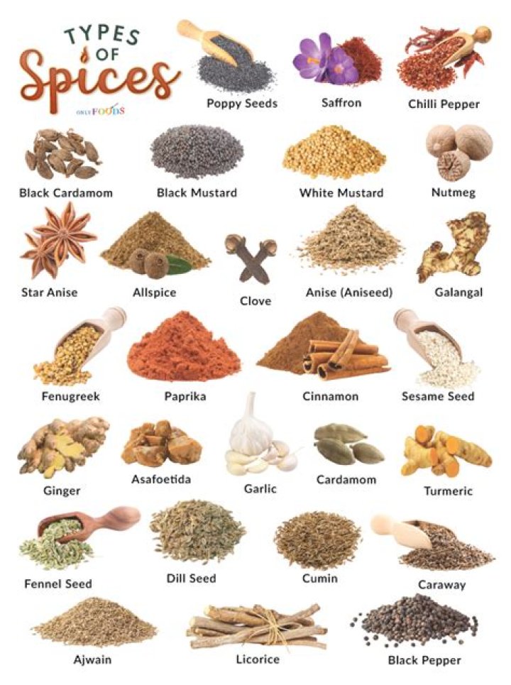 What are spices and examples?