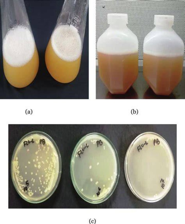 What are the advantages of liquid culture broth?