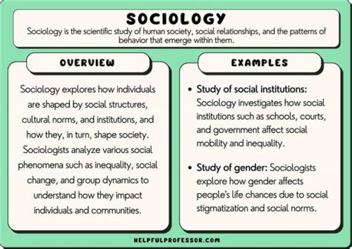 What do you expect from a sociology class?