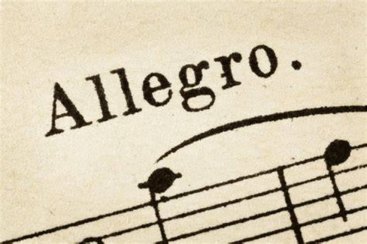 What does Allegro con brio mean in music terms?