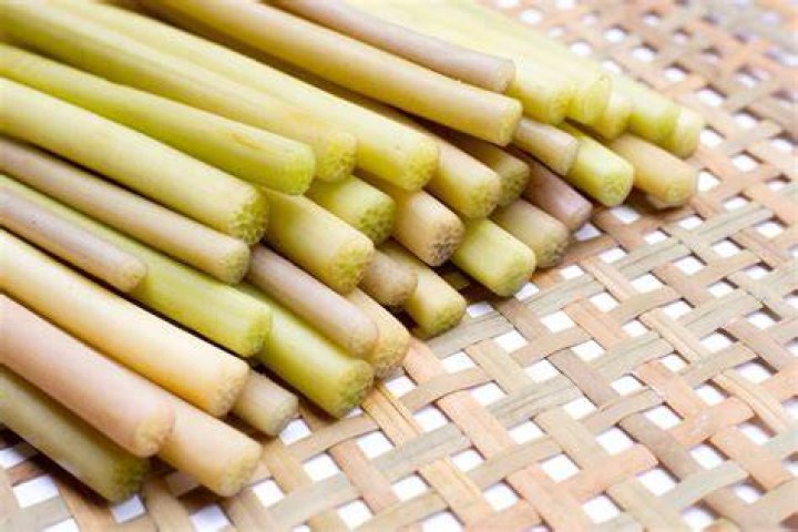 What is lotus stem called in English?