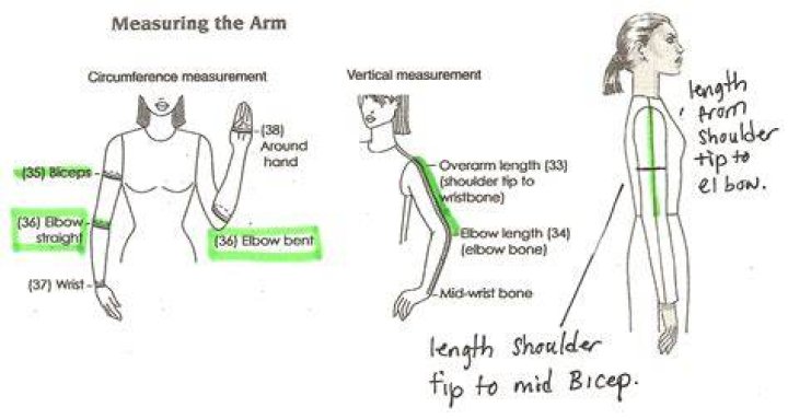 What is the average length of an arm?