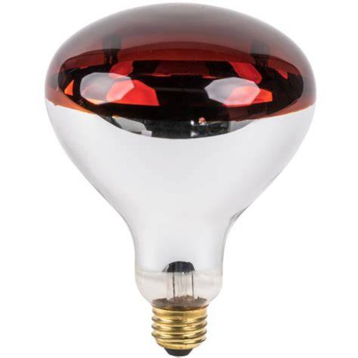 What is the heat from a light bulb?