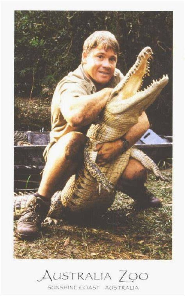 What was Steve Irwin favorite animal?