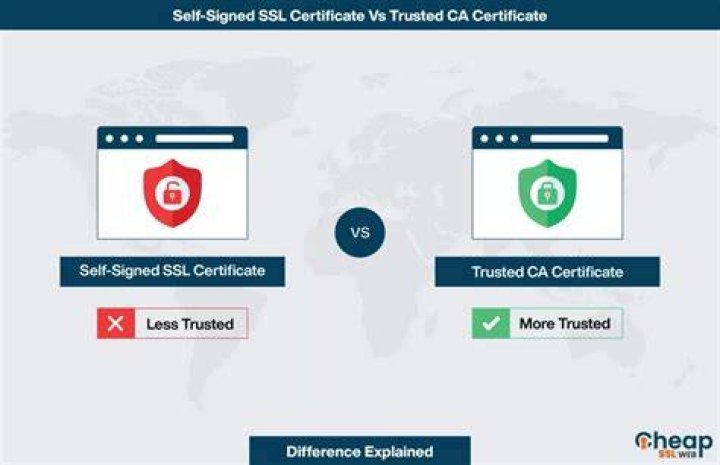 Why is this self signed certificate not trusted as indicated in the certificate?